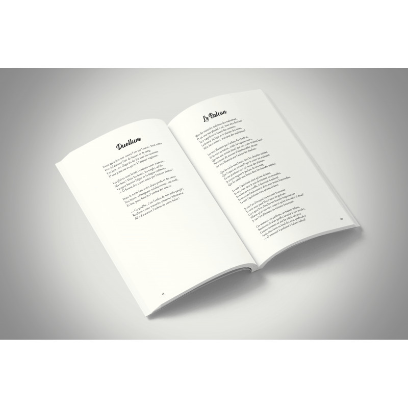 LES FIGURINES JRD -Format A4 PORTRAIT - 114 PAGES -DOS CARRE COLLE